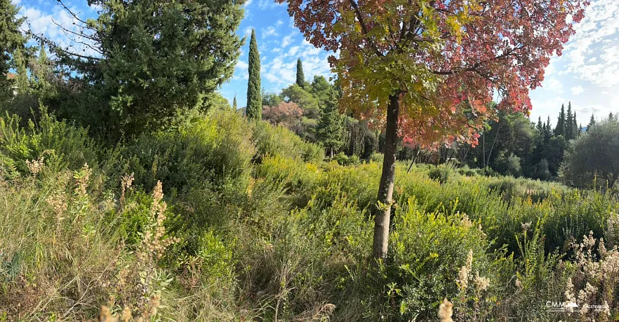 Wunderschönes Grundstück in Mojdež, Herceg Novi, umgeben von Natur