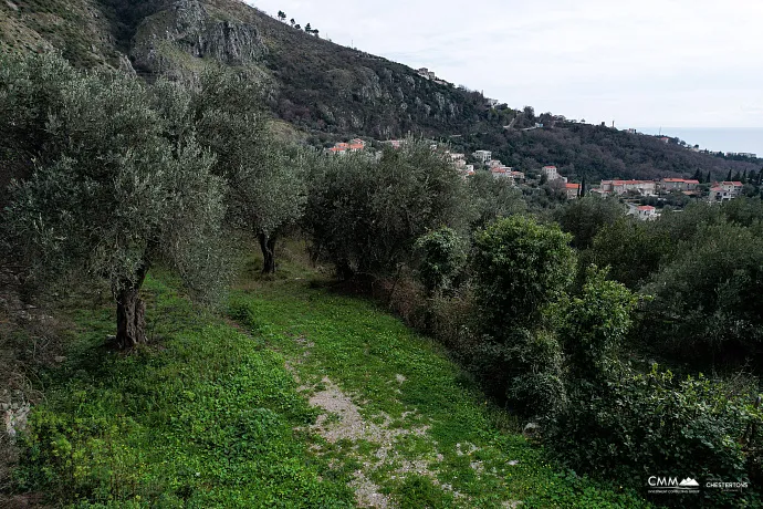 GRUNDSTÜCK ZU VERKAUFEN – RUDINICE, GEMEINDE PLUŽINE