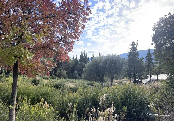 Wunderschönes Grundstück in Mojdež, Herceg Novi, umgeben von Natur