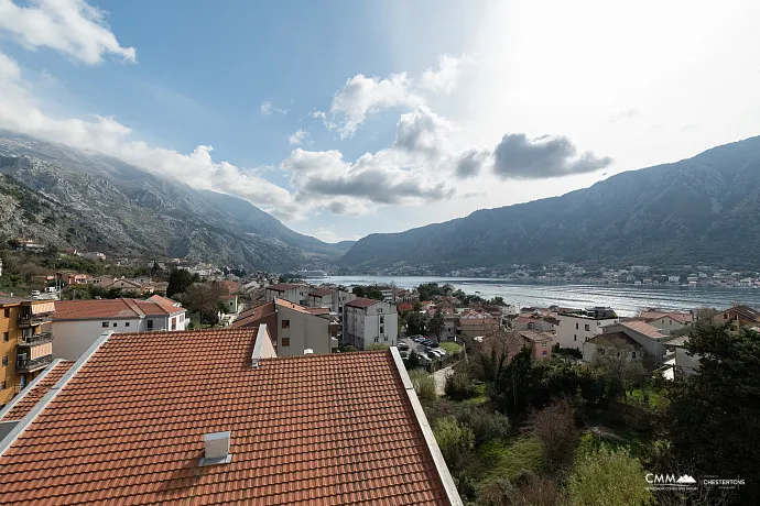 Wohnungen im Neubau Premium