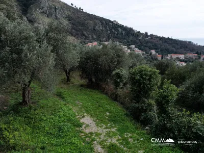 GRUNDSTÜCK ZU VERKAUFEN – RUDINICE, GEMEINDE PLUŽINE