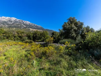 Grundstück in Bar-Pečurice 2003 m²