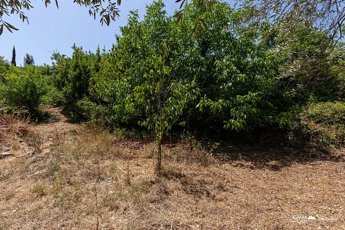 Steinhaus 105 m² mit Grundstück 2100 m² in Glavatičići