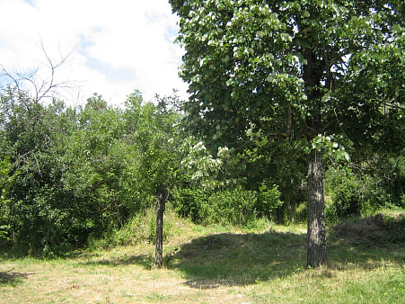 Grundstück in Wilusi