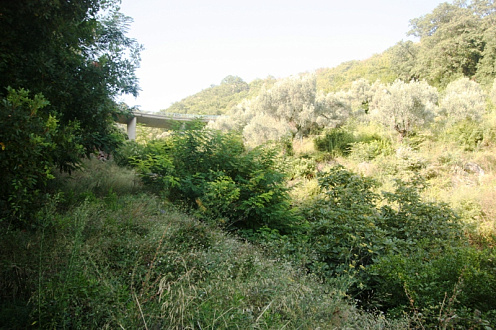 Grundstück in Petrovac