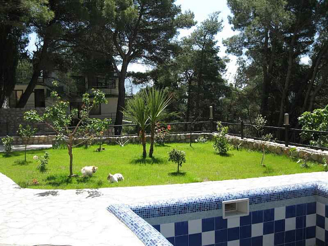 Villa in Bar mit 8 Schlafzimmern — photo 6