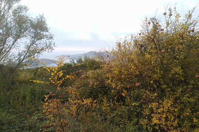 Land in Budva — photo 5