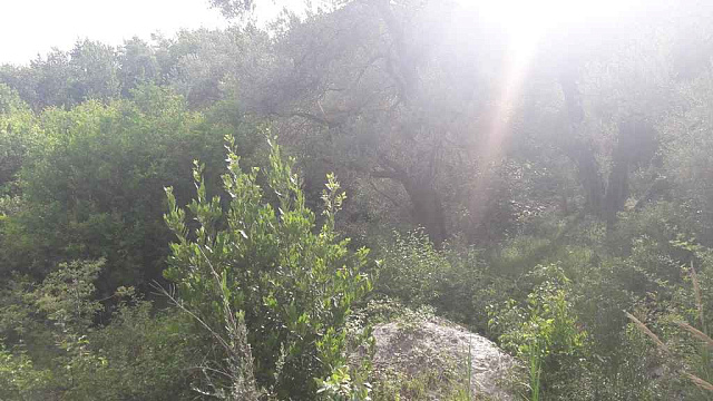 Land in Budva — photo 5