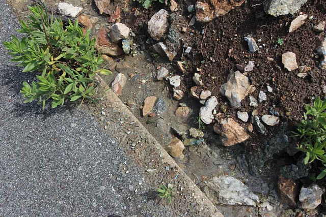 Das Grundstück in Lastva Grbalska — photo 4
