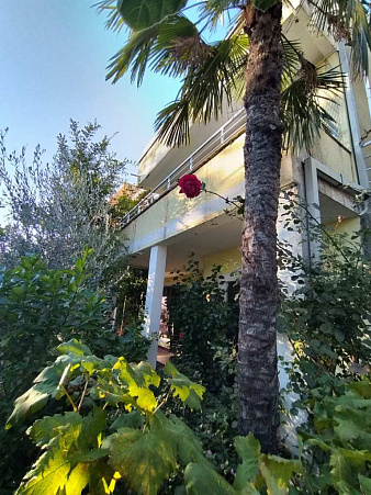 Haus in Budva