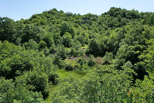 TTRAKTIVES GRUNDSTÜCK IN CETINJE – 1.000 m² DIREKT AN DER STRASS — photo 2