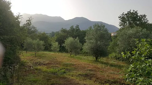Grundstück von 1000 m2 in Radanovici
