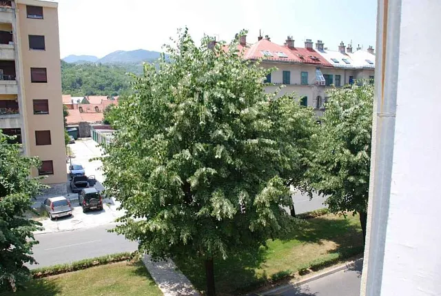Apartment in old capital town Cetinje  — photo 17
