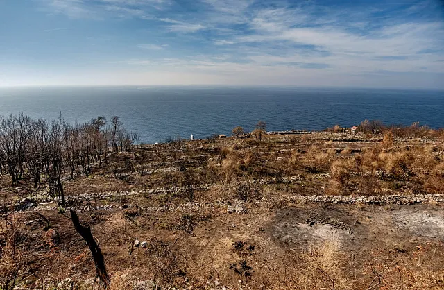Plot with construction plan in Rezevici — photo 6