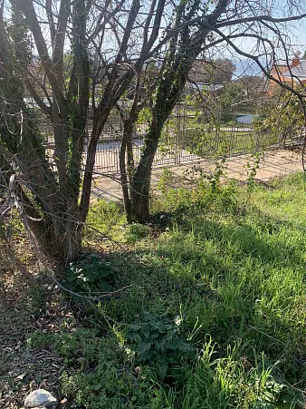 Plot with sea view