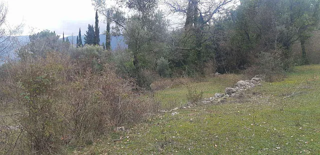 Grundstück von 9800 m2 in einem der Bezirke Herceg Novi - Mojdez