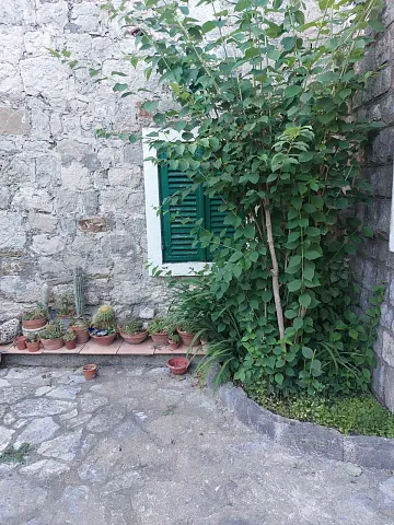 Haus in Bar, 200m², mit drei Schlafzimmern — photo 8