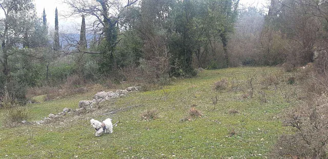 Grundstück von 9800 m2 in einem der Bezirke Herceg Novi - Mojdez