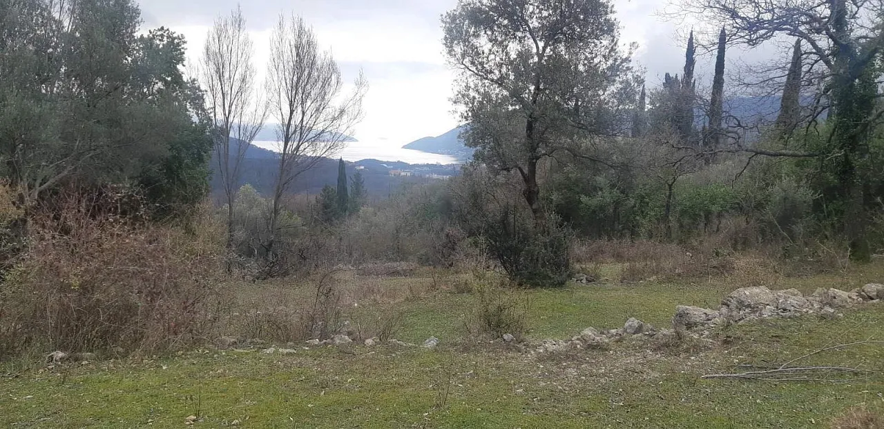 Grundstück von 9800 m2 in einem der Bezirke Herceg Novi - Mojdez