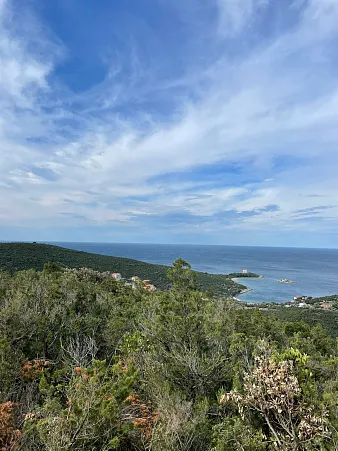 Land plot 19,000 m² - Žanjice — with permitted use for villa construction
