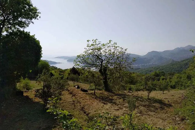 Land in Budva — photo 6