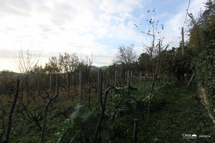 Grundstück in der Region Herceg Novi