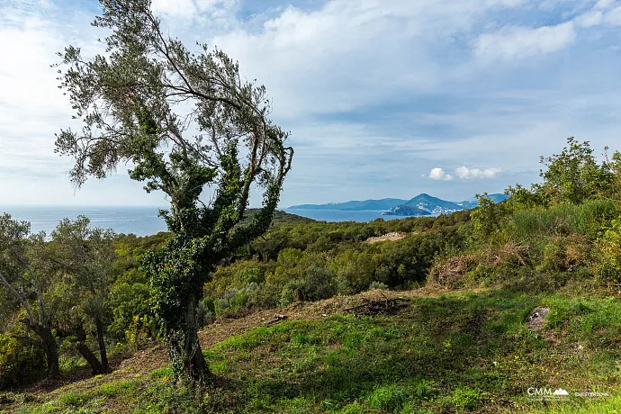 Grundstück zum Verkauf in Reževići, 975 m²