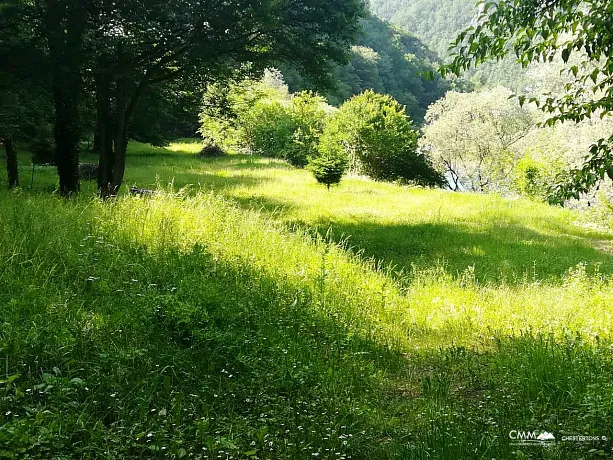 Grundstück am Ufer des Flusses Tara