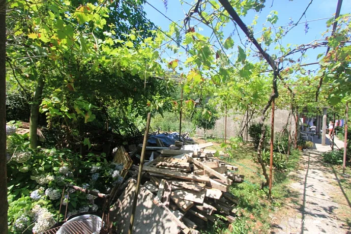 Haus mit großem Grundstück in Kotor