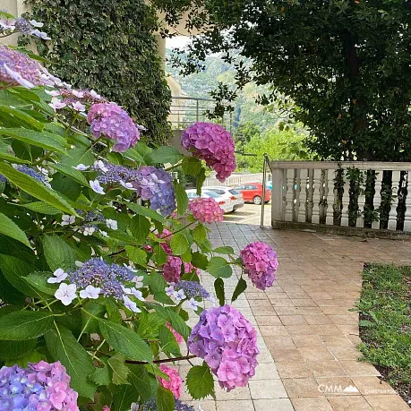 Apartment in Risan mit Meer- und Bergblick