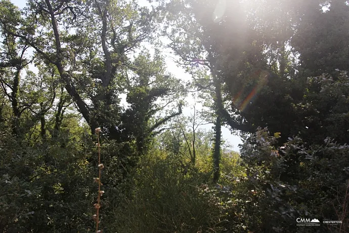 Grundstück mit Meerblick in Kulyach