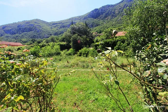 Haus mit großem Grundstück in Kotor