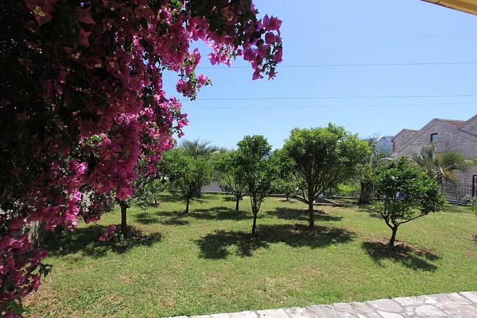 Haus in Herceg Novi mit großem Garten