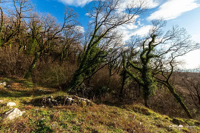 2170 m² Grundstück in Kuljače