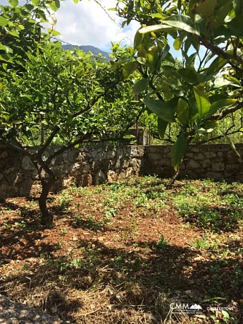 Grundstück mit kleinem Haus in Dobre Vode