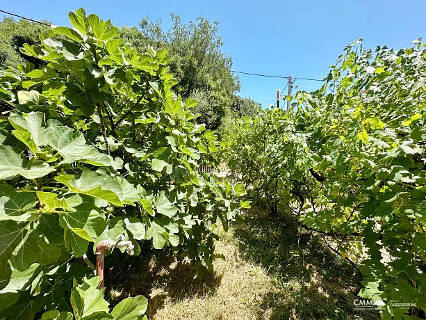 Zweistöckiges Haus in Dobra Voda