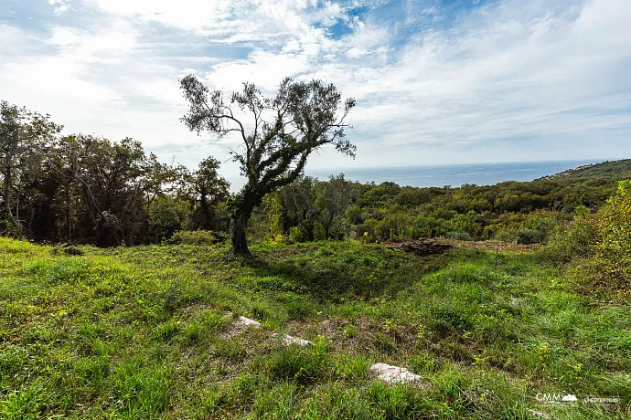 Grundstück zum Verkauf in Reževići, 975 m²