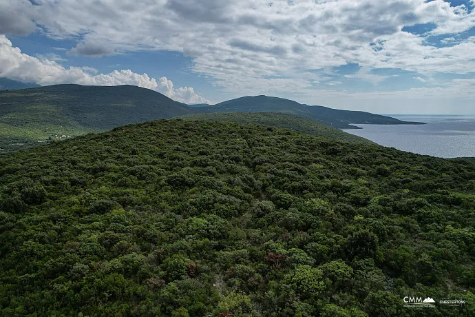 Plot in Bigova