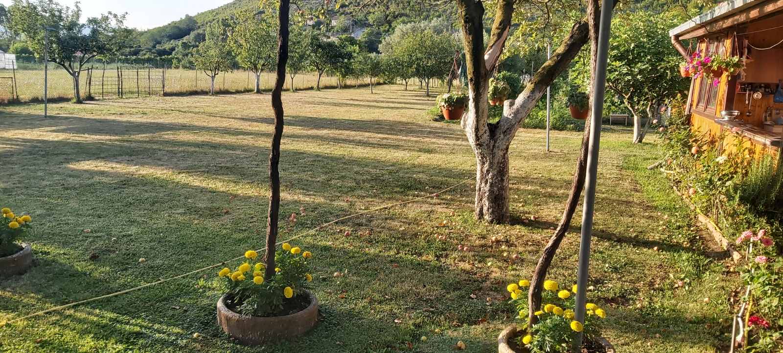 Haus in Danilovgrad mit großem Grundstück