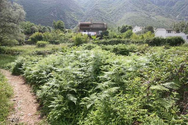 Grundstück in Kotor — photo 4