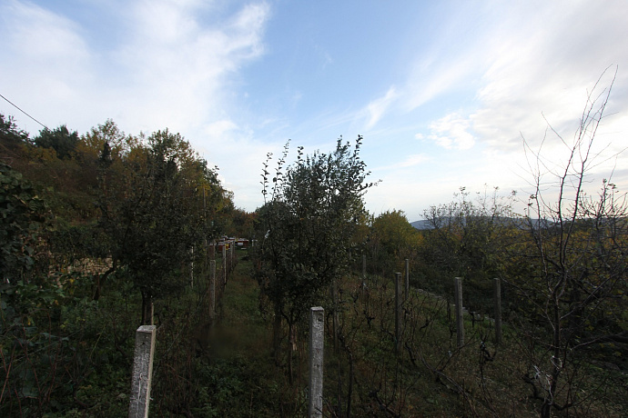 Grundstück in der Region Herceg Novi