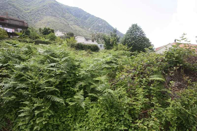 Grundstück in Kotor