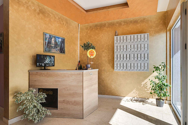 Gemütliches Studio in Bečići — photo 26