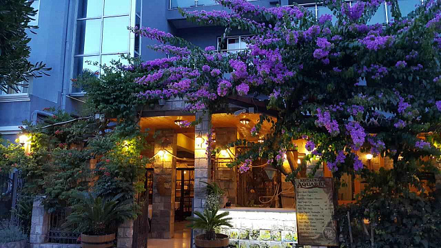 Budva-Hotels — photo 19