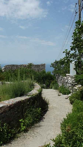 Land in Blizikuce — photo 7