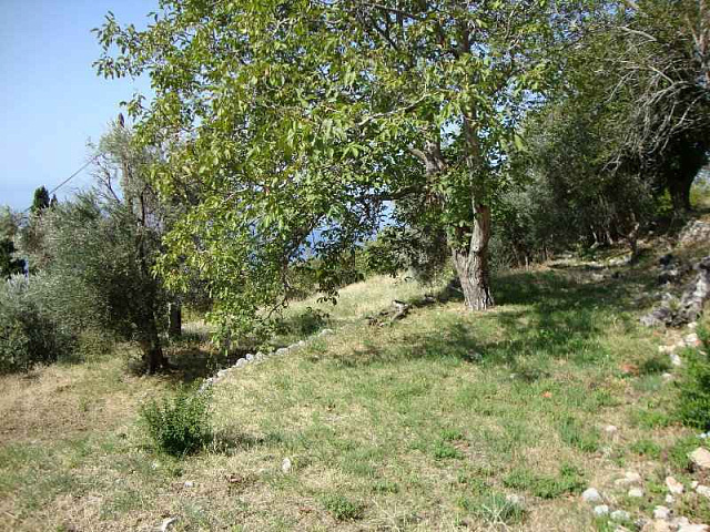 Budva-Anwesen — photo 4
