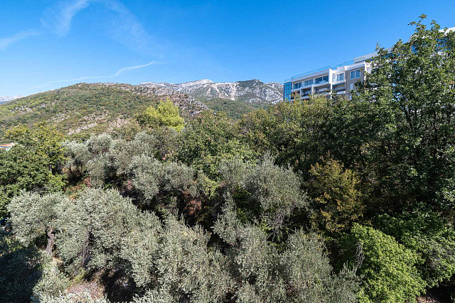 Gemütliches Studio in Bečići — photo 13