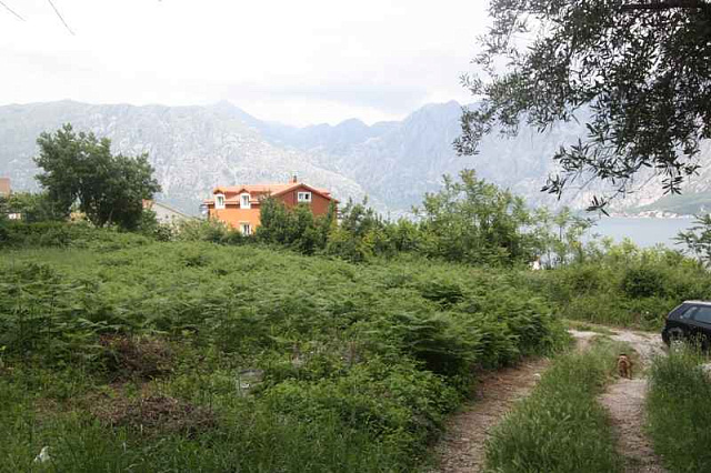 Grundstück in Kotor — photo 8