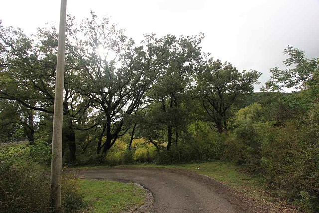 Grundstück in Markovichi — photo 4