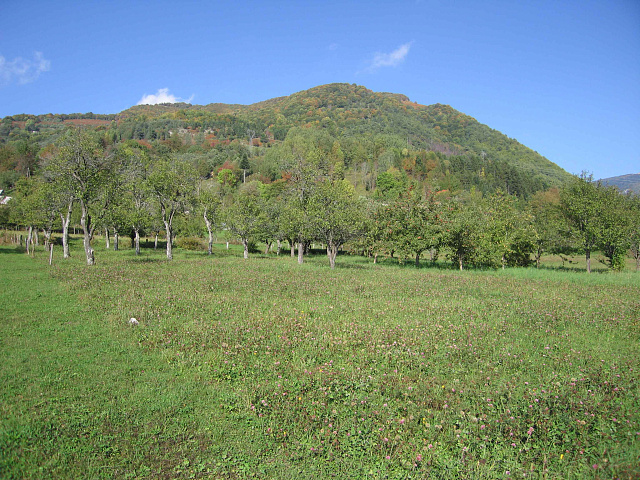 Grundstück in Kolasin
